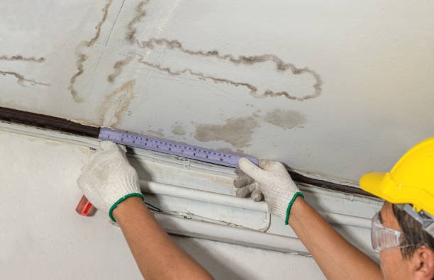 Reliable Water Damage contractor in Spencerville, NM by Water Damage Irwin